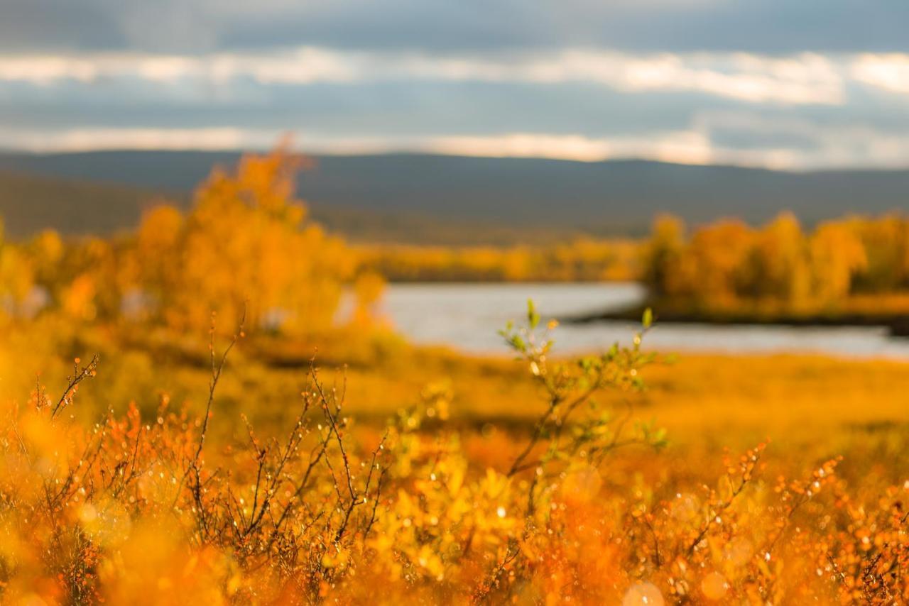 Arctic Gourmet Cabin Kiruna Exterior foto